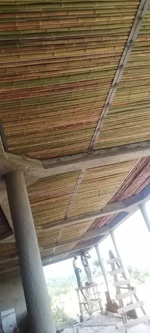 Bamboo Interior Designer Lounge