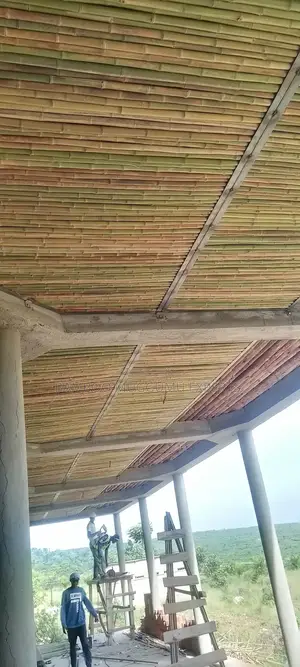 Bamboo Interior Designer Lounge