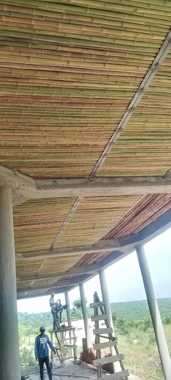 Bamboo Interior Designer Lounge