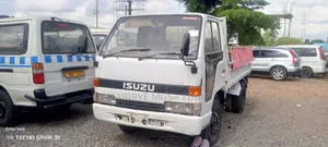 Canter Tipper Small Tye
