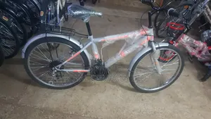 Mountain Bike 11yrs to 22yrs