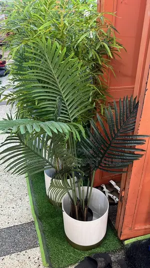 Artificial Green Plants for Shops, Offices 