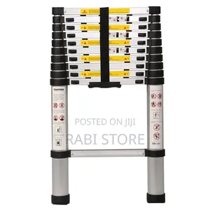 Adjustable Ladder