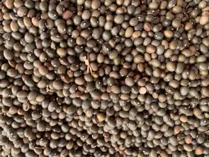 Green Beans