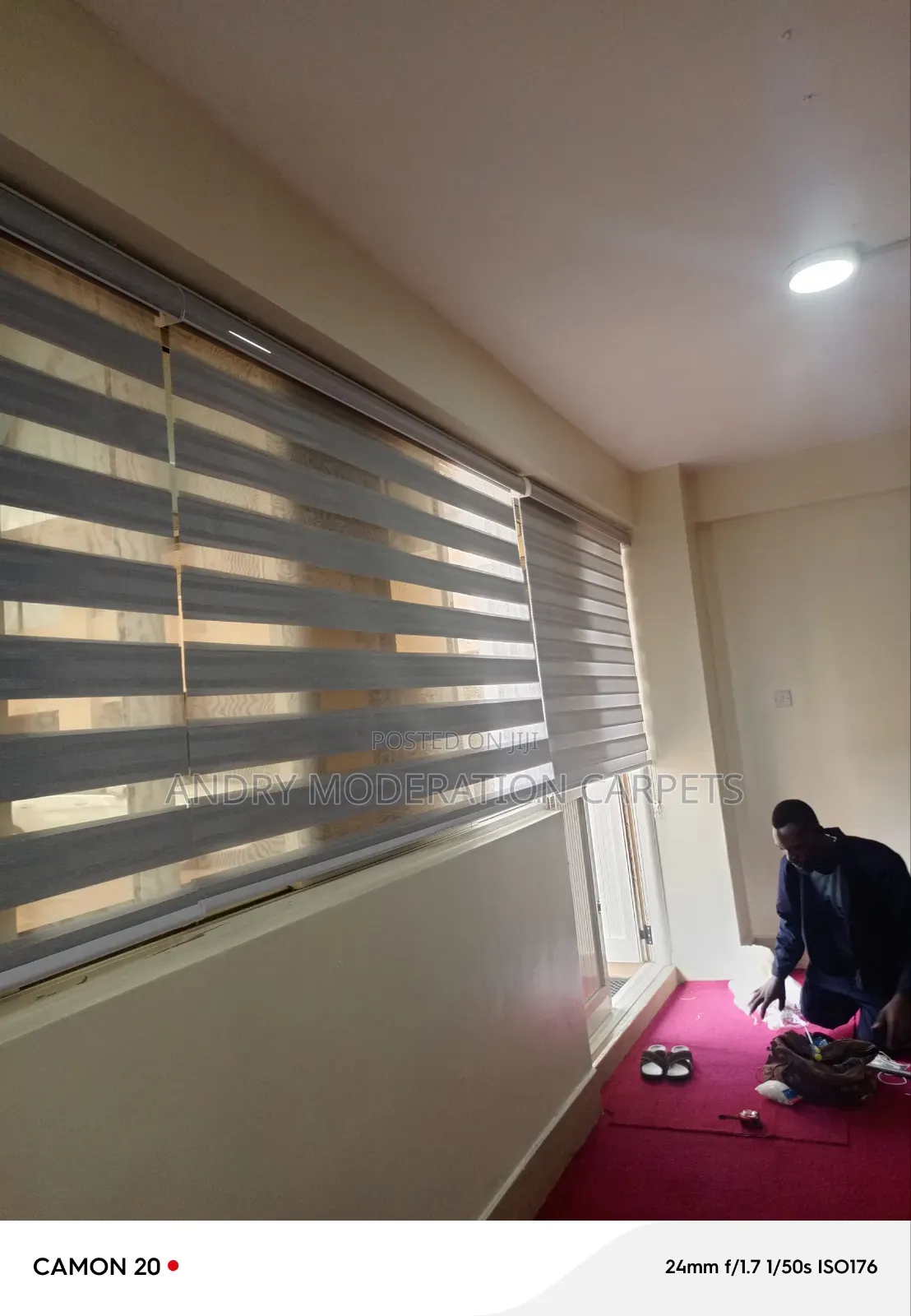 Legal Zebra Blind Office Curtains