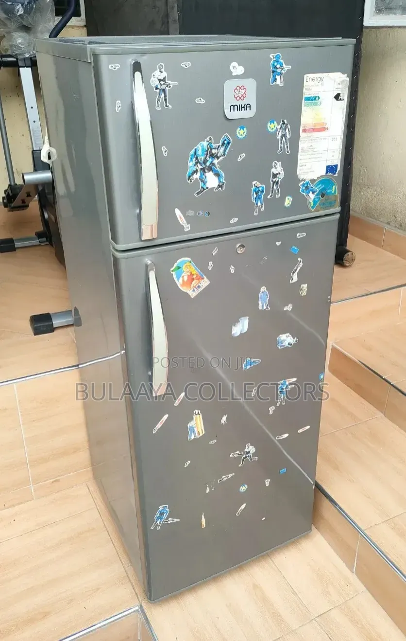 Mika Brand Silver Double-Door Top-Mount Refrigerator.
