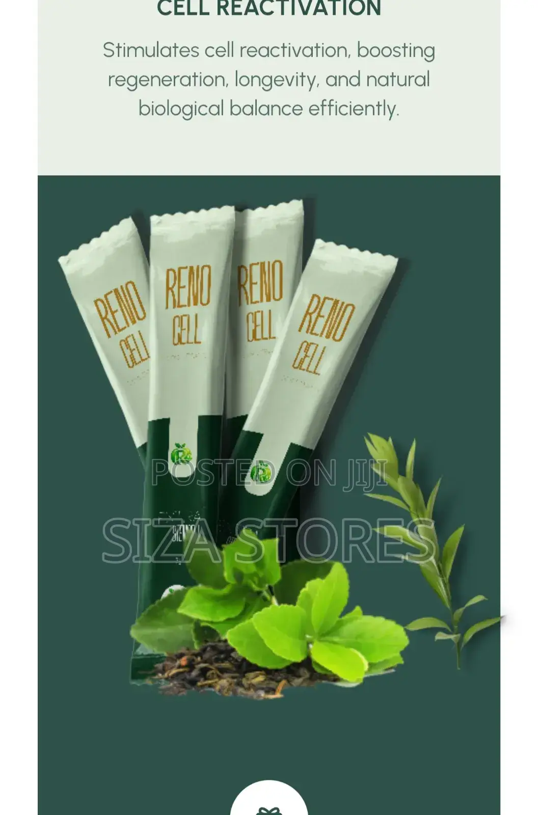 Reno Cell Plus