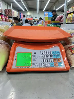 Portable Weighing Scale Shop Electronic Weigh Portable Weighing Scale