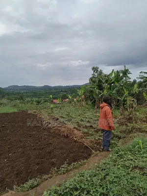 Titled Plot for Sale in Mwera Kakiri
