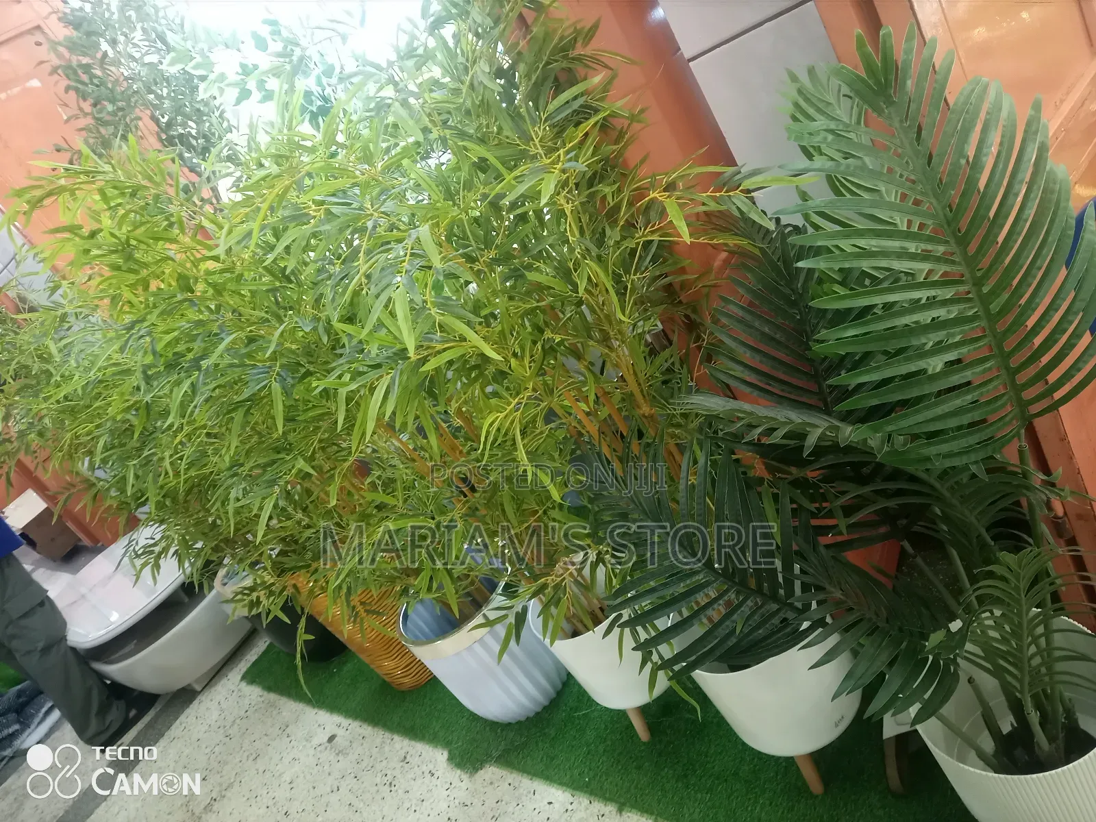 Artificial Bamboo Plant Is a Stylish,