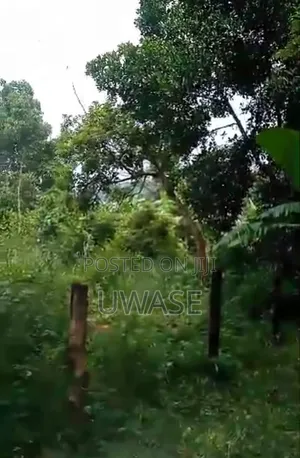 Land on Sale
