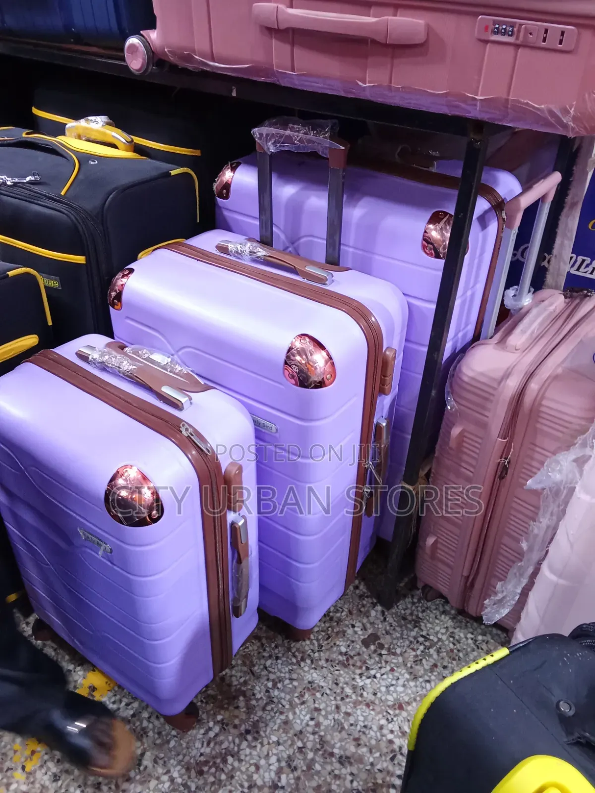 Early Bird 3 PCS Full Set Suitcases