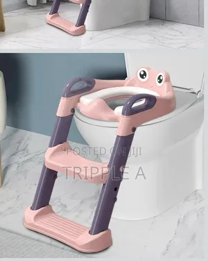 Kids Toilet Training Seat/ Ladder.