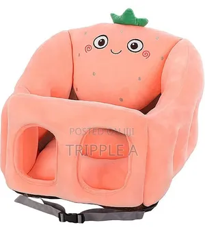 Portable Car Seat