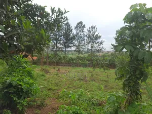 58 Decimals Piece of Land in Kira Nsasa at Ugx480m