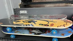 Skate Board