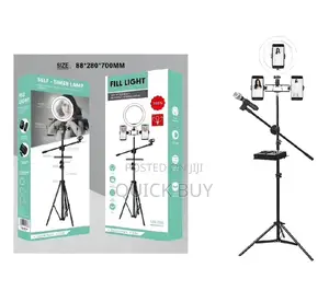 Ringlight With Stand and Microphone Stand Set Up