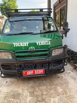 Tourist Drone for Hire