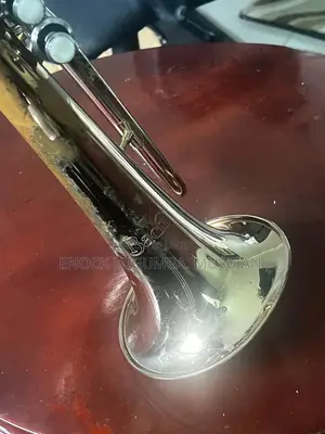 Flugel Horn by Bach