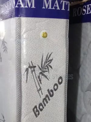 Bamboo 6 by 10 Inches Spring Double Mattress