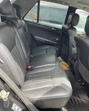 Mercedes-Benz M Class 2010 Black