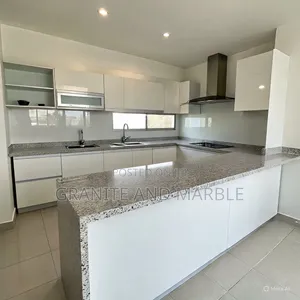 Stylish Kitchen Granite