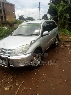 Toyota RAV4 2005 Silver