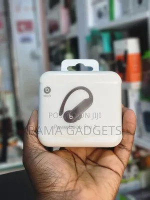 Beats Powerbeats Pro 2 Wireless Earbuds.