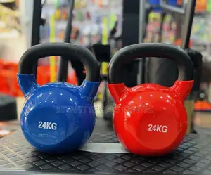 Kettlebell 24 Kg Pair
