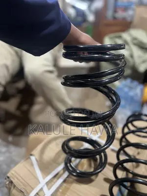 Suspension Coil