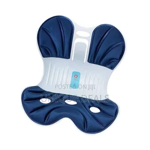 Lower Back Support Chair Posture Corrector