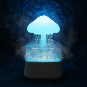 Rain Cloud Humidifier