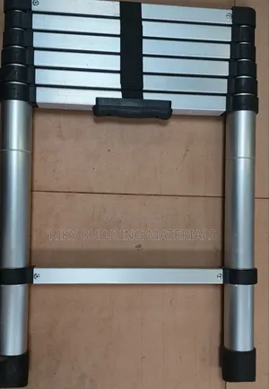 Extendable Ladder