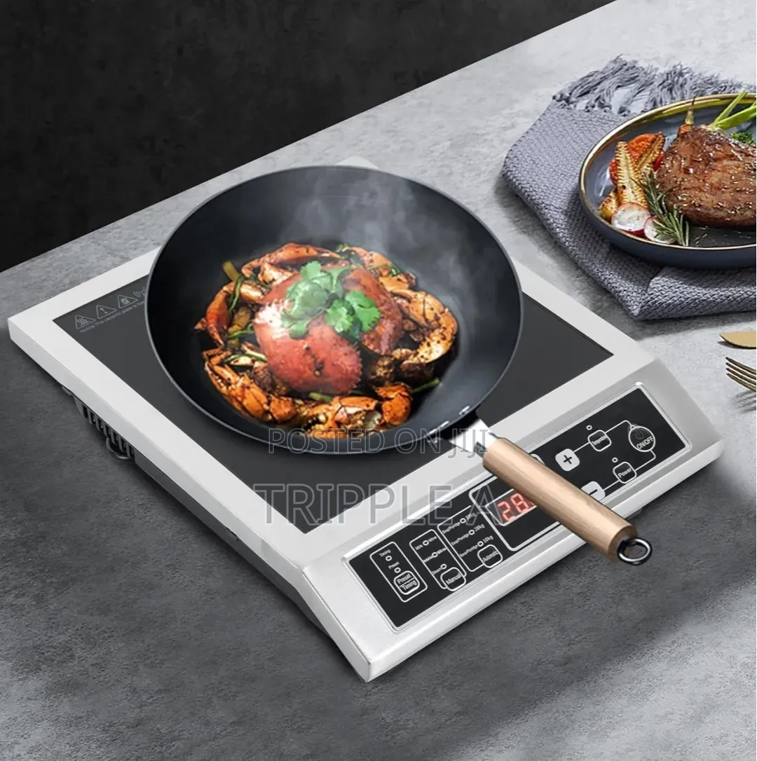 Commercial Induction Cooker