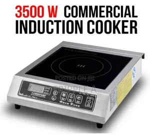 Commercial Induction Cooker