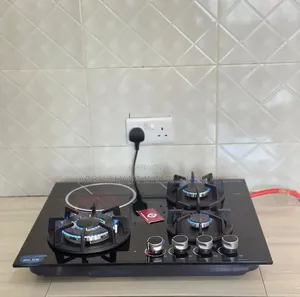 4-Burner Cooktop/ 3 Gas Burners 1 Electric Hot Plate.