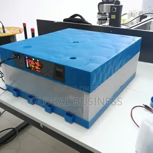 Fully Automatic 64 Egg Imported Incubator