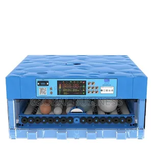 Fully Automatic 64 Egg Imported Incubator