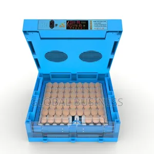Hot Sale Automatic 64 Imported Egg Incubator
