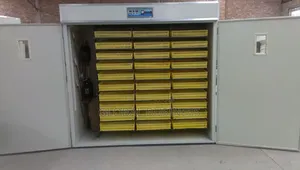 Brand New 5280 Automatic Egg Incubator
