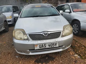 Toyota Corolla Fielder 2007 Silver