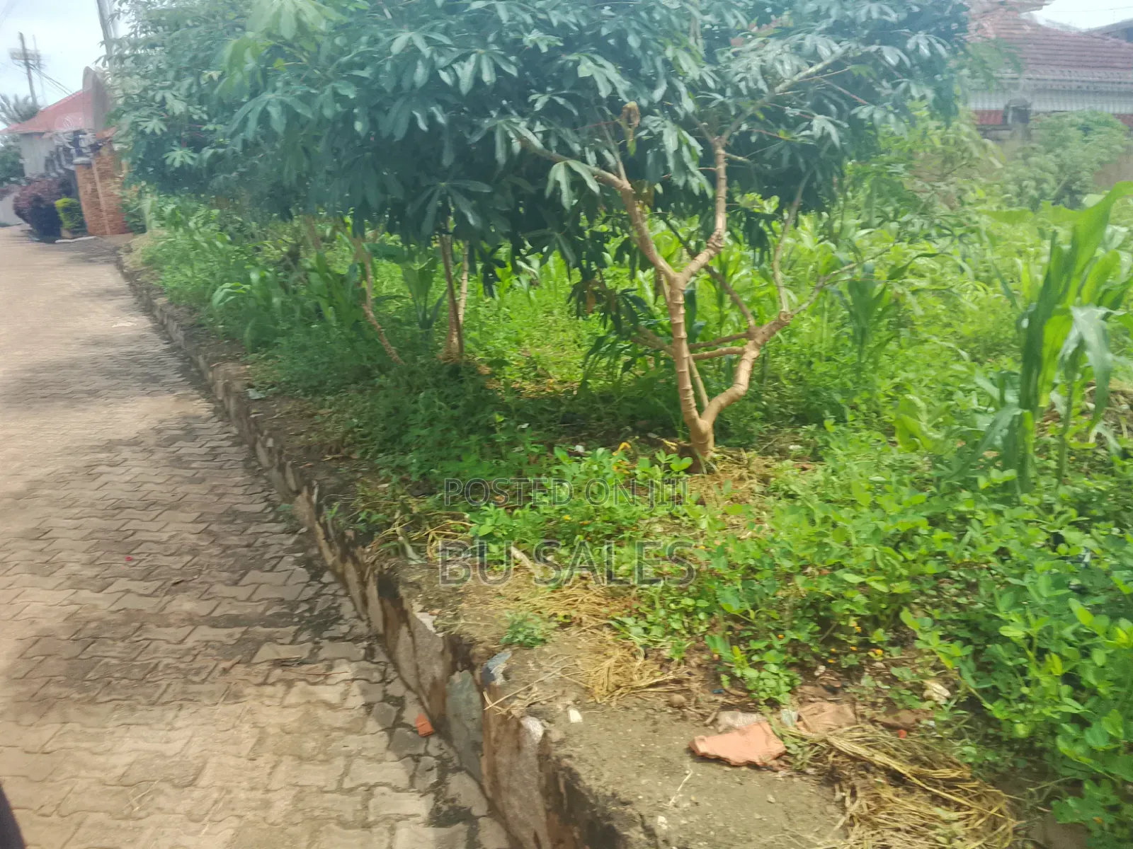 Muyenga Plot