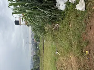 Land for Sale Kiwatule