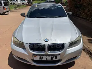 BMW 320i Sedan RWD 2009 Silver