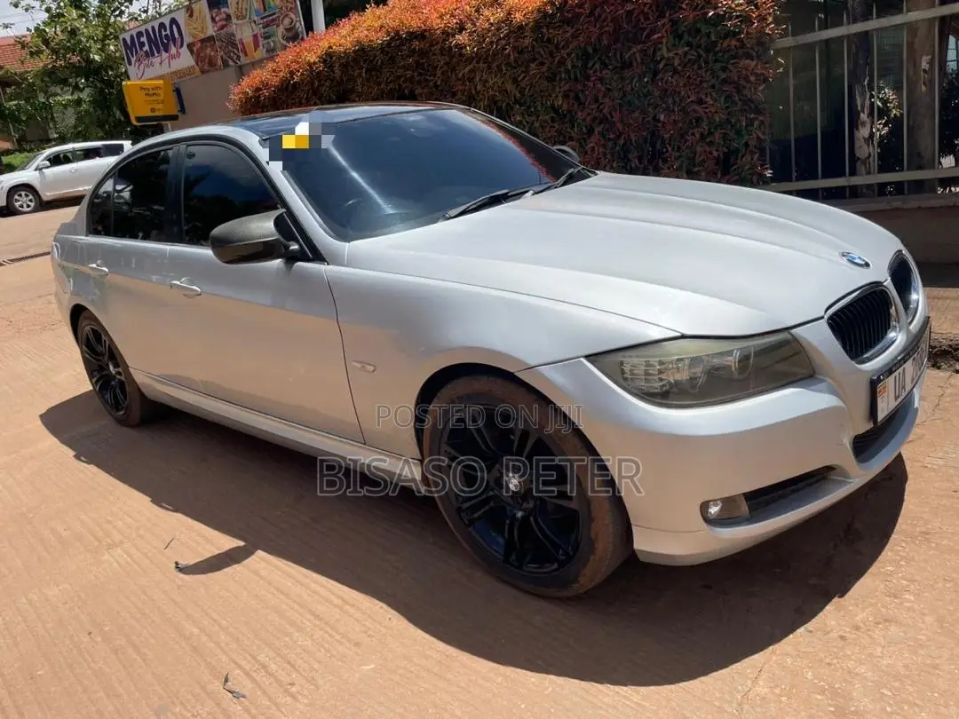 BMW 320i Sedan RWD 2009 Silver