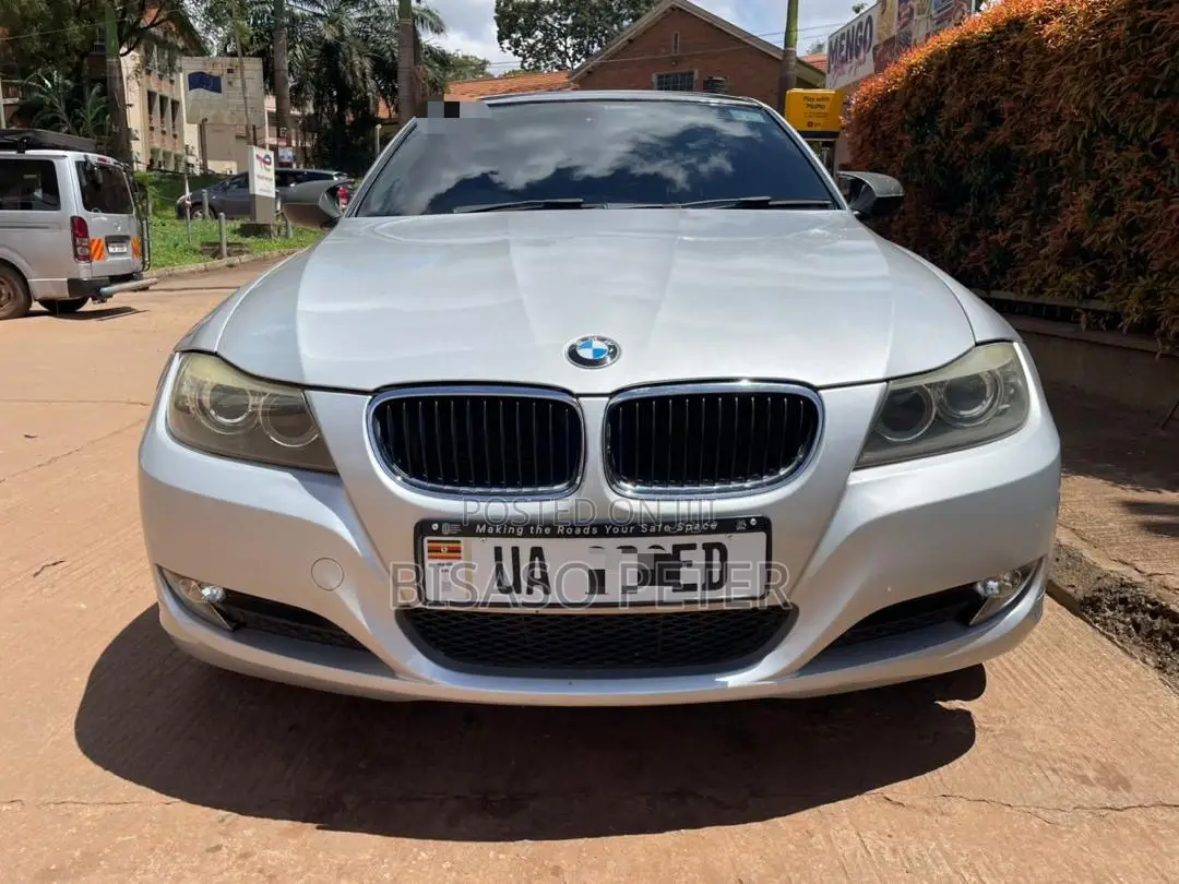 BMW 320i Sedan RWD 2009 Silver