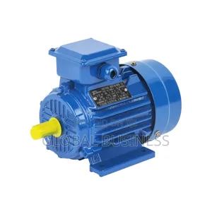3 Phase Induction Motor (40hp)