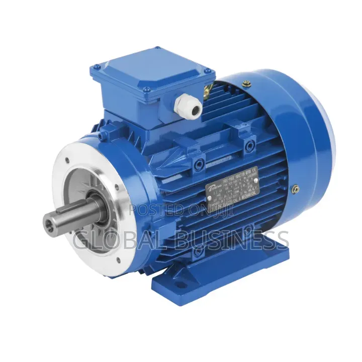 3 Phase Induction Motor (40hp)