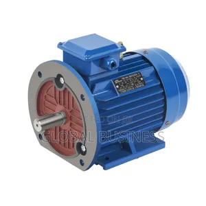 3 Phase Induction Motor (40hp)