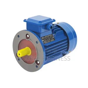 3 Phase Induction Motor (40hp)
